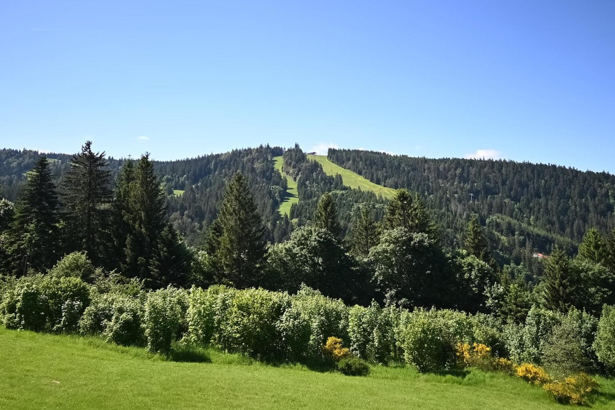 شقة Le Nid Des Vosges - Appt Vue Montagne جوراردُميه المظهر الخارجي الصورة
